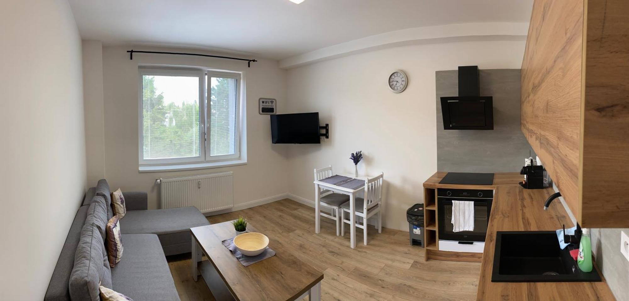 Luxury Apartments Stud - Vb Ostrava Kültér fotó